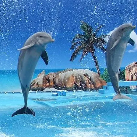 Charming In Albufeira, 60 M², Mountain View * Albufeira