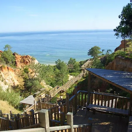 Apartment Charming Mountain View